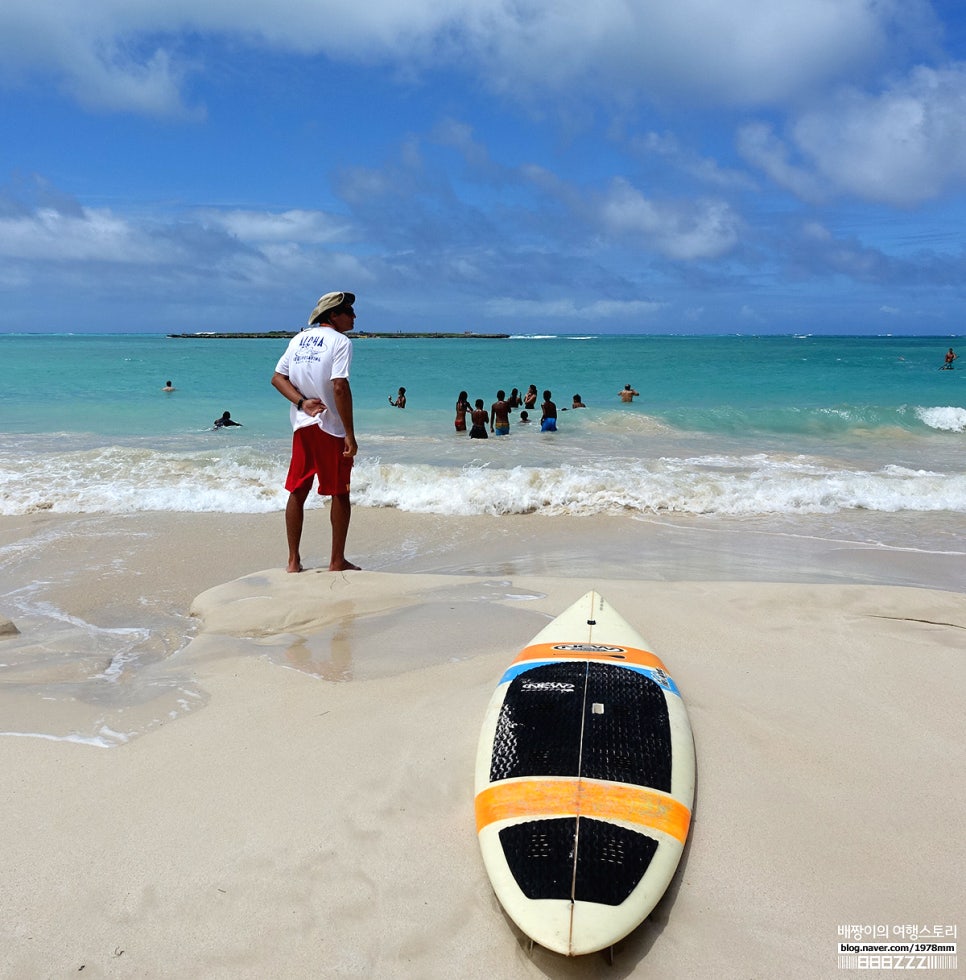 하와이항공권 가격 비교 하와이 자유여행 가볼만한곳 8곳 관광지
