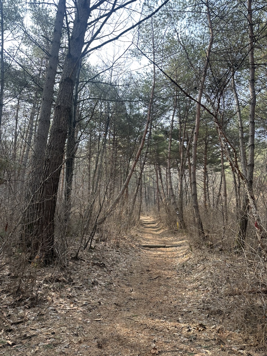 양구 봉화산 최단코스 운해 일출 명소