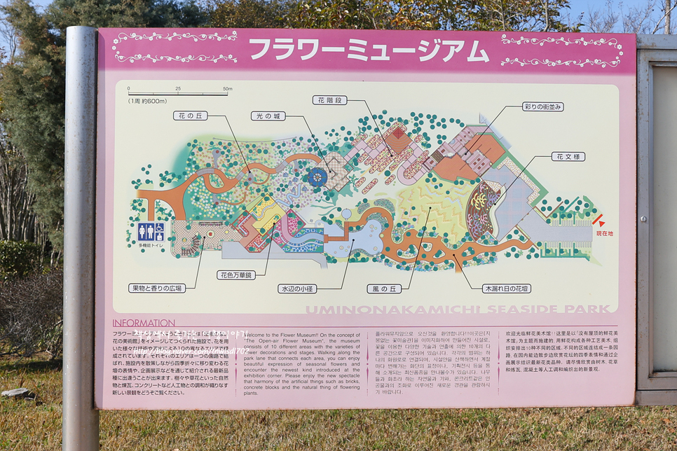 후쿠오카 자유여행 우미노나카미치 해변공원