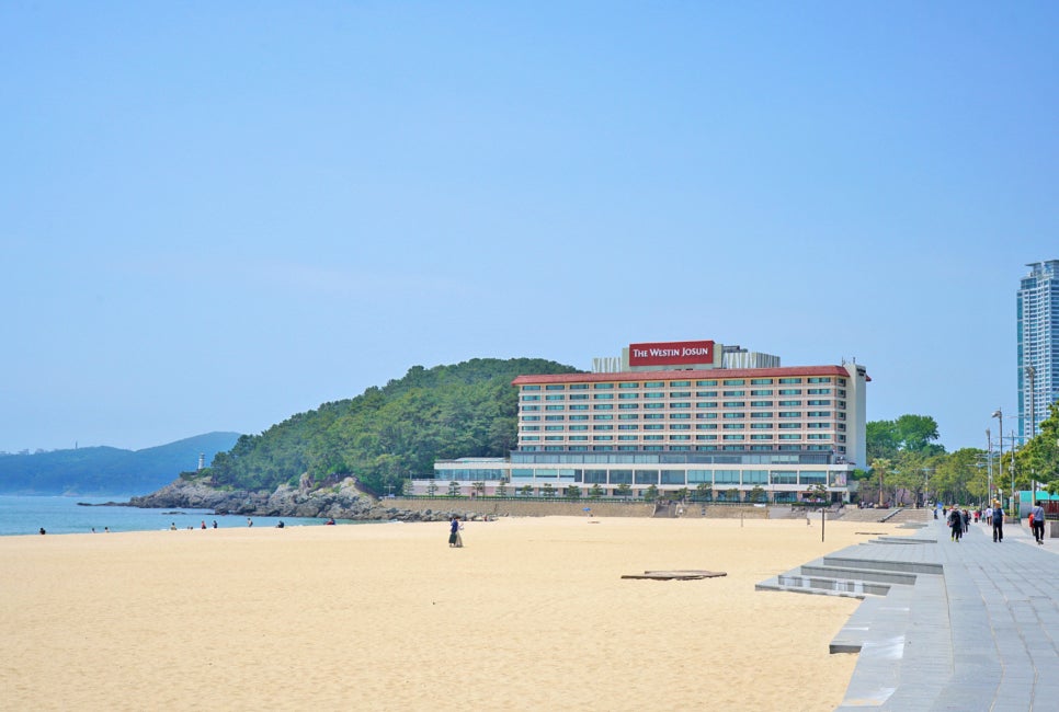 2024 대한민국 숙박세일 페스타 부산 강원 제주 호텔 할인