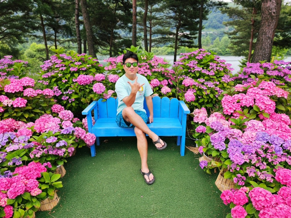 가평 자라섬 꽃 페스타 남도 꽃정원 6월 꽃축제 입장료 일정