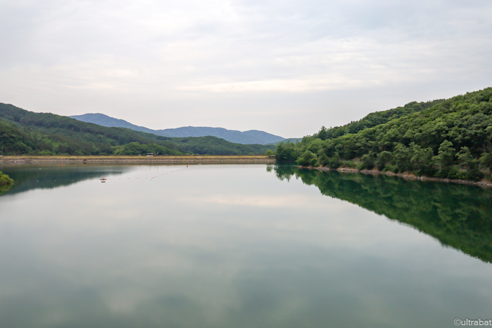 경기도 파주 가볼만한곳 데이트 나들이 핫플 파주 마장호수 출렁다리