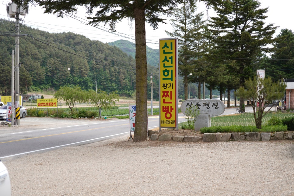 신선희 황기 찐빵 - 다양한 색과 맛을 자랑하는 찐빵 맛집