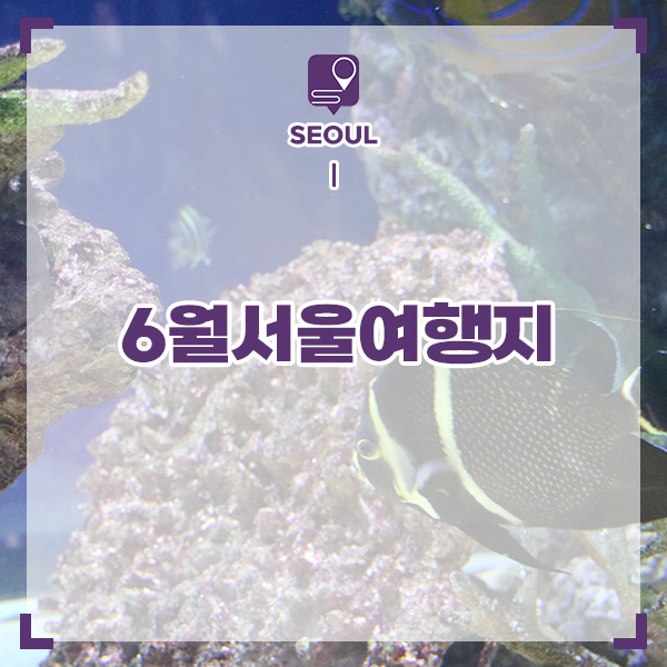 6월 서울 가볼만한곳 볼거리 놀거리 서울 여행지 추천 BEST 5