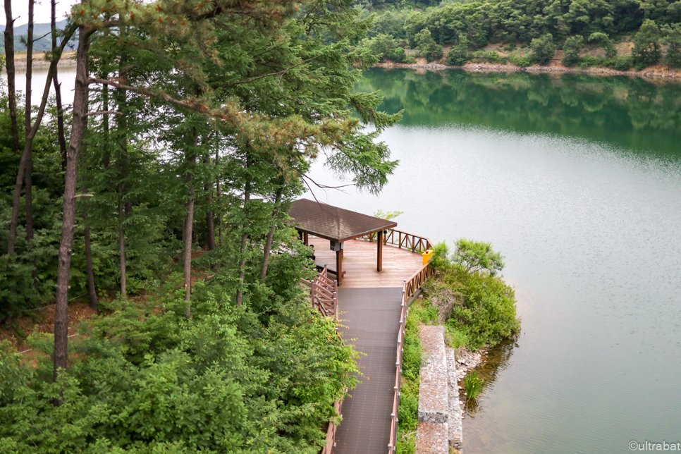 경기도 파주 가볼만한곳 데이트 나들이 핫플 파주 마장호수 출렁다리