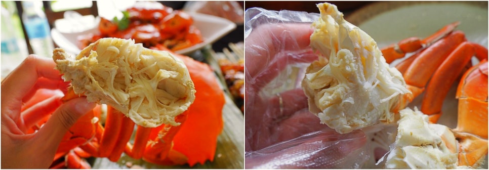 필리핀 세부 맛집 알리망오 씨푸드 대박 막탄 점보 씨푸드