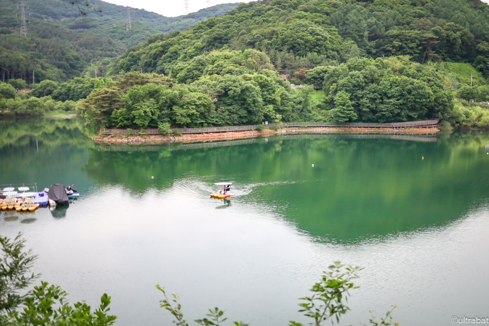 경기도 파주 가볼만한곳 데이트 나들이 핫플 파주 마장호수 출렁다리