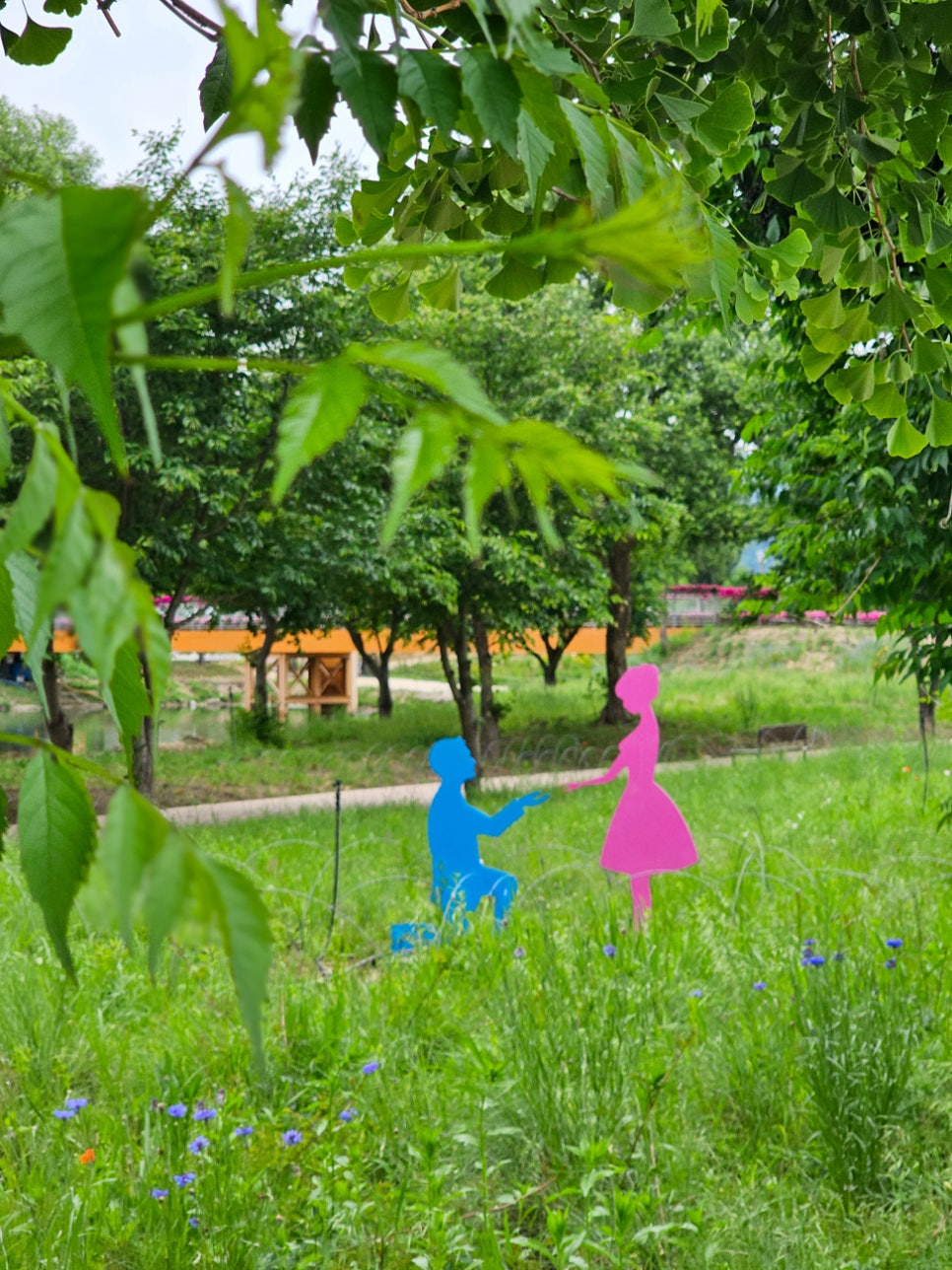 가평 자라섬 꽃 페스타 남도 꽃정원 6월 꽃축제 입장료 일정