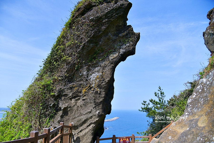 제주도 여행 동쪽 코스 제주 성산일출봉 섭지코지 에코랜드 해녀박물관 하도리별방진