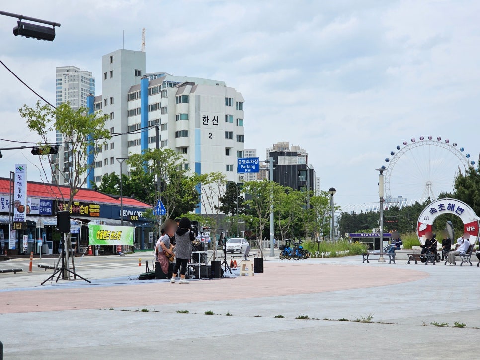 속초 가볼만한곳 속초해수욕장 금계국 꽃밭 6월 꽃구경 추천