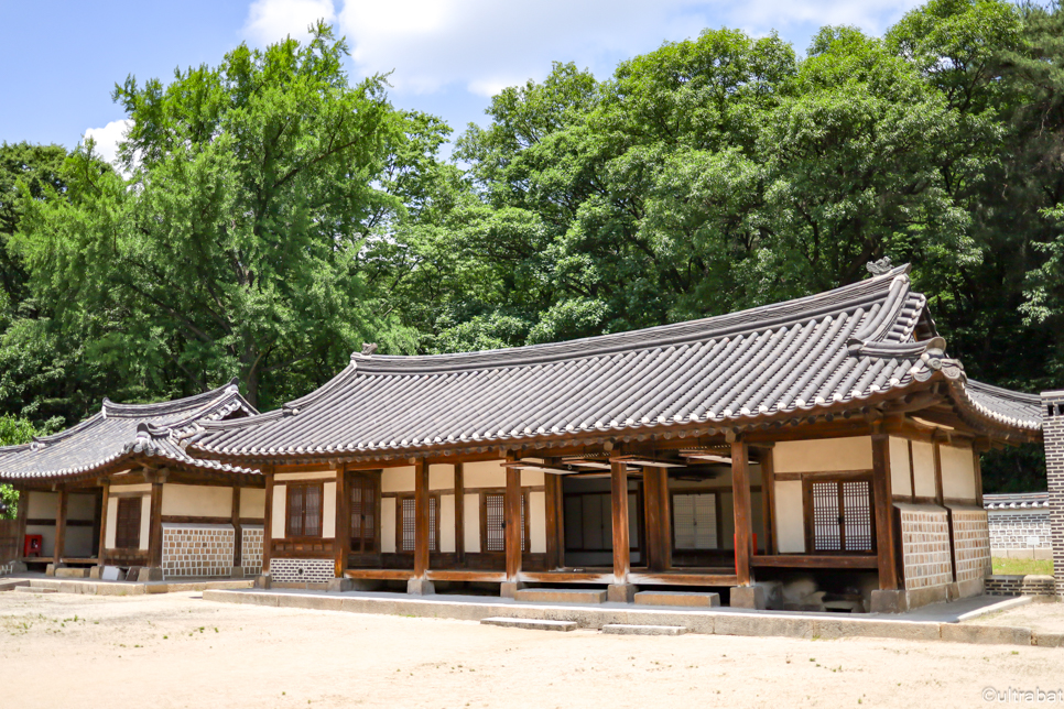 서울근교 나들이 데이트 산책 구리 가볼만한곳 동구릉 조선왕릉 숲길