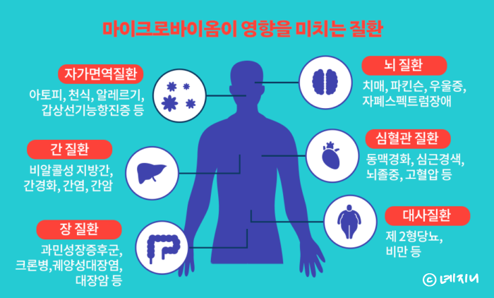 마이크로바이옴 뜻 식단 역할 총정리!