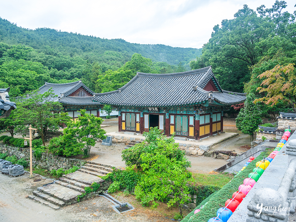 전북 여행지 추천 전북 여행 김제 금산사