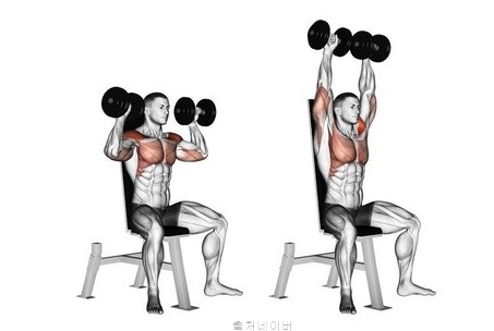 어깨 운동 루틴 덤벨 바벨 숄더프레스 필수 삼각근운동