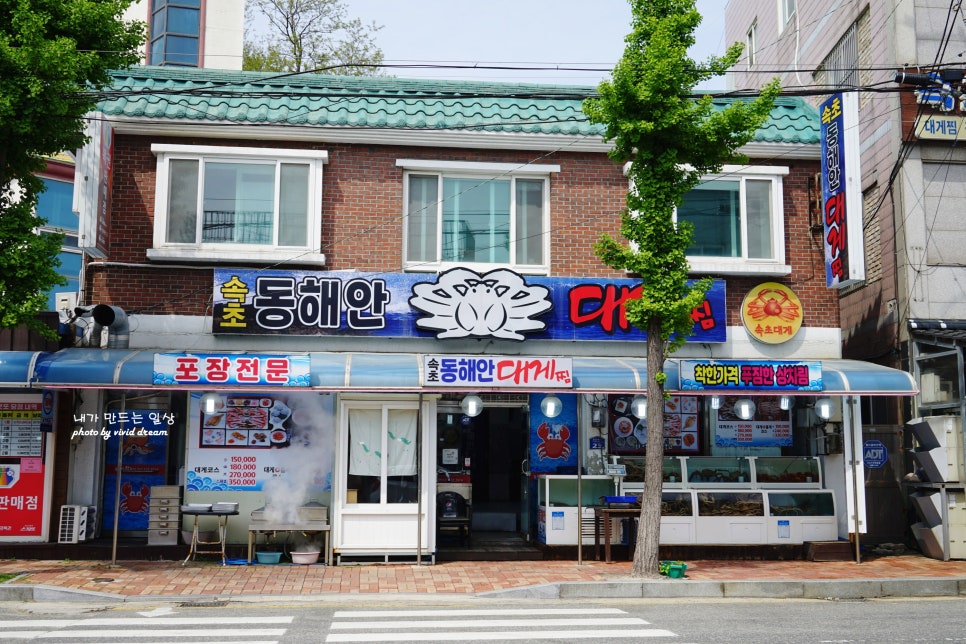 속초 대게 맛집 동명항 동해안 대게찜 현지인 추천