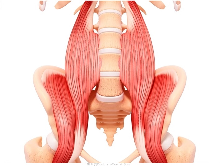 허리 디스크 통증 운동 장요근 고관절 골반 스트레칭