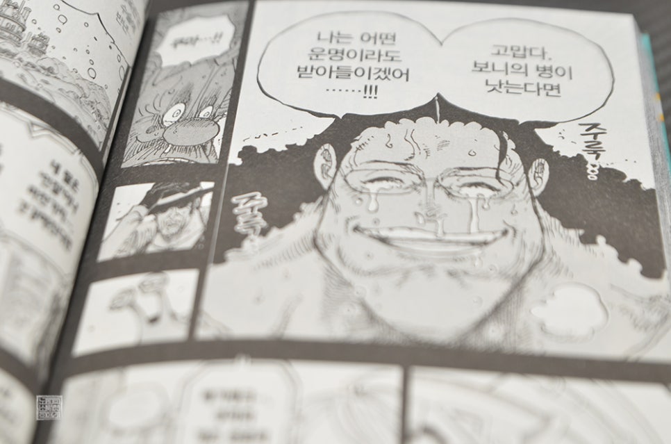 만화 원피스 108권 죽는 편이 나은 세계 후기