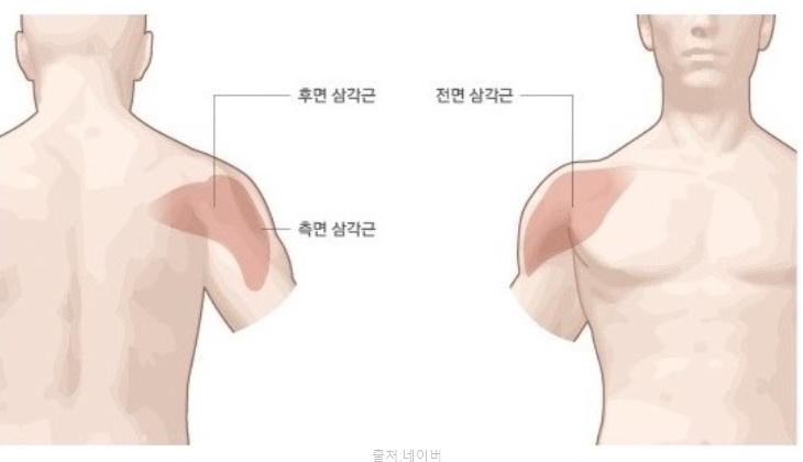 어깨 운동 루틴 덤벨 바벨 숄더프레스 필수 삼각근운동