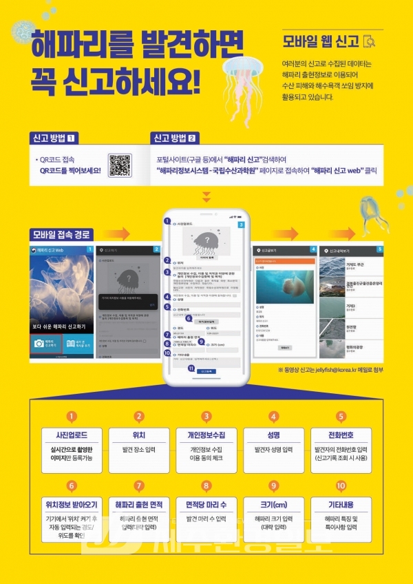 해수부, 올해 첫 해파리 주의단계 특보 발령