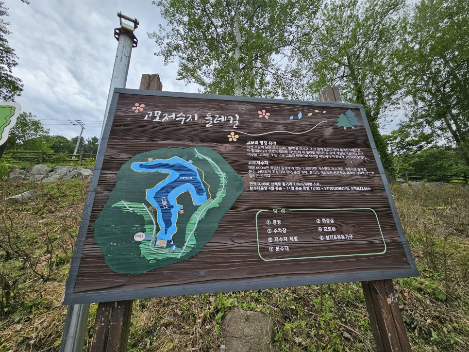 서울 근교 여행 포천 국립수목원 고모리저수지 카페 주말 나들이
