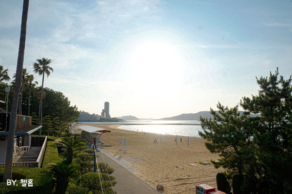 일본 후쿠오카 여행 추천 코스 모모치해변 후쿠오카 타워 전망대 야경