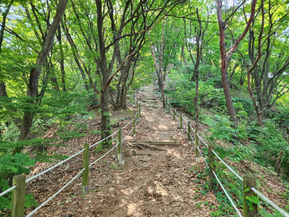 위례에서 남한산성둘레길>노적산('24.06.02)