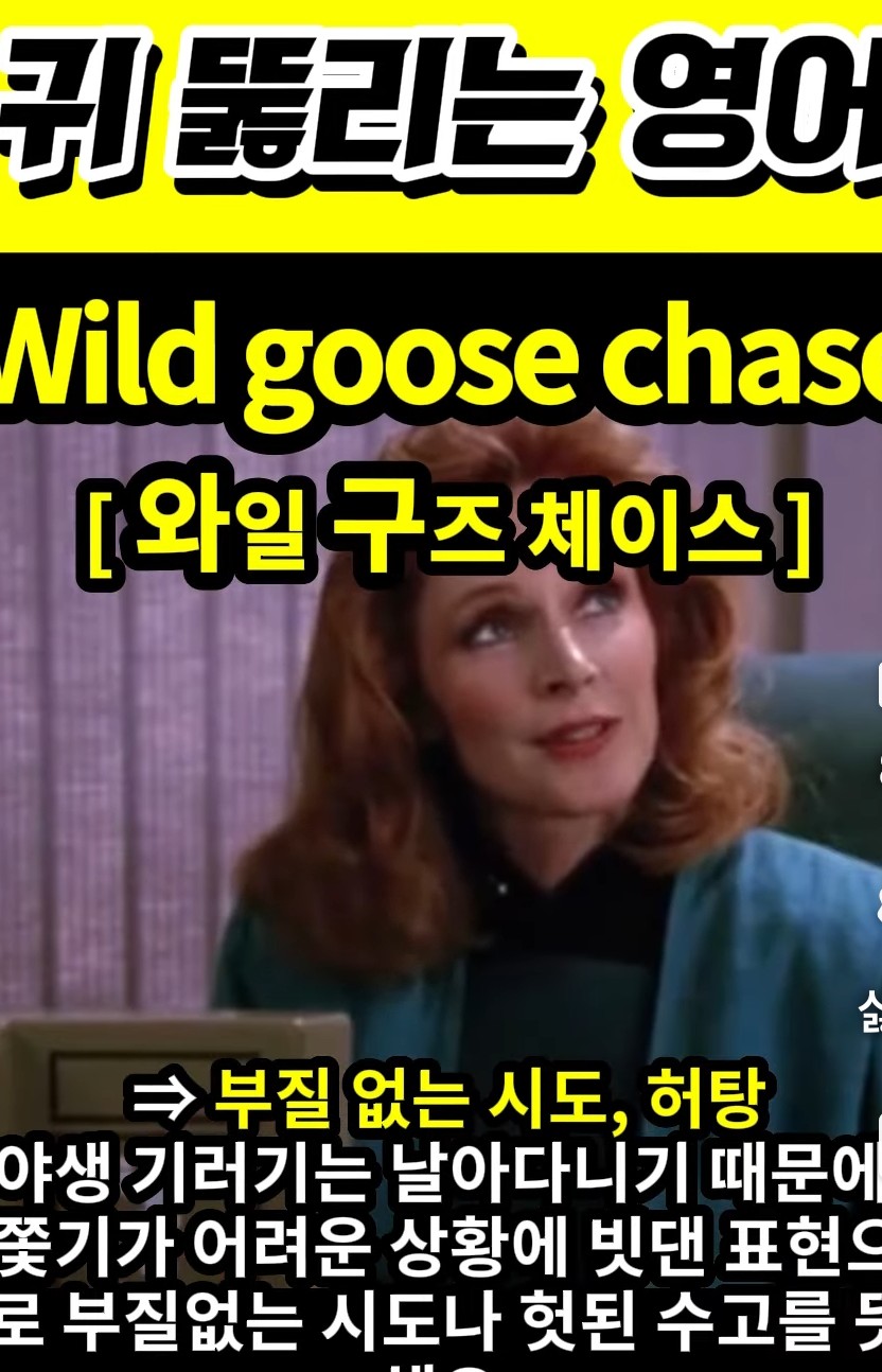 과천 할매와 귀 뚫리는 영어 부질없는 시도 [와일 구즈 체이스] Wild goose chase