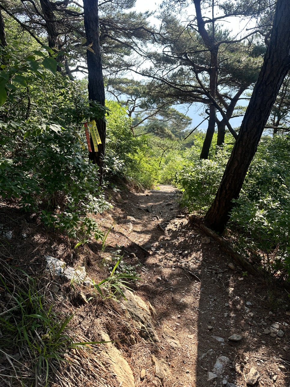 괴산, 등잔봉-천장봉-아가봉-옥녀봉 / 산막갈론