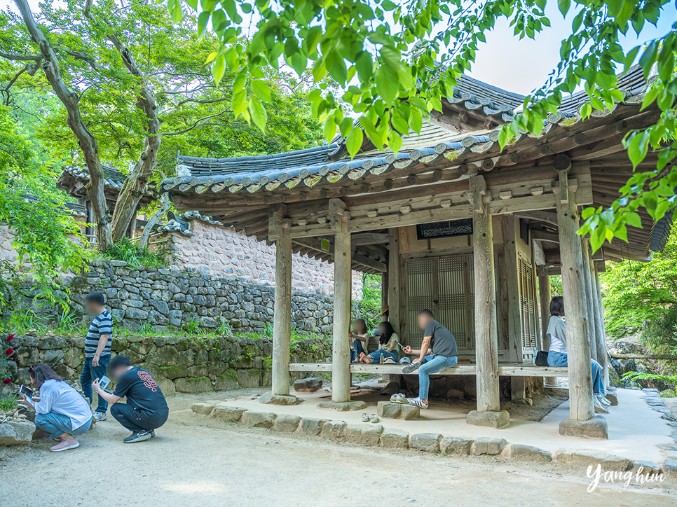 전남 담양 가볼만한곳 실내 아이와 담양 여행 코스