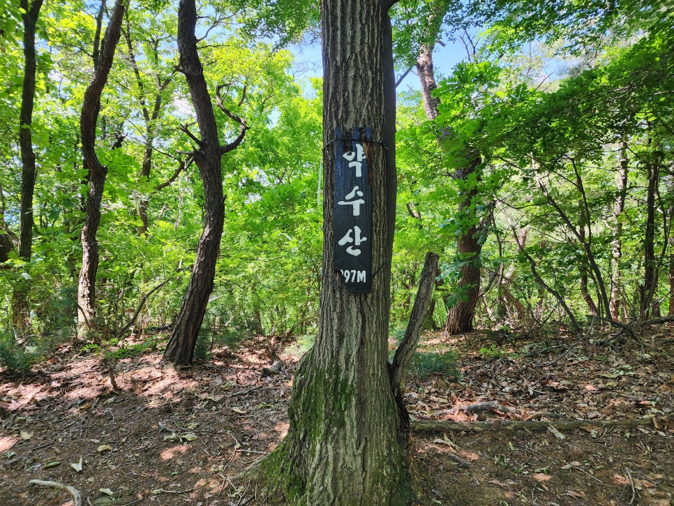 위례에서 남한산성둘레길>노적산('24.06.02)