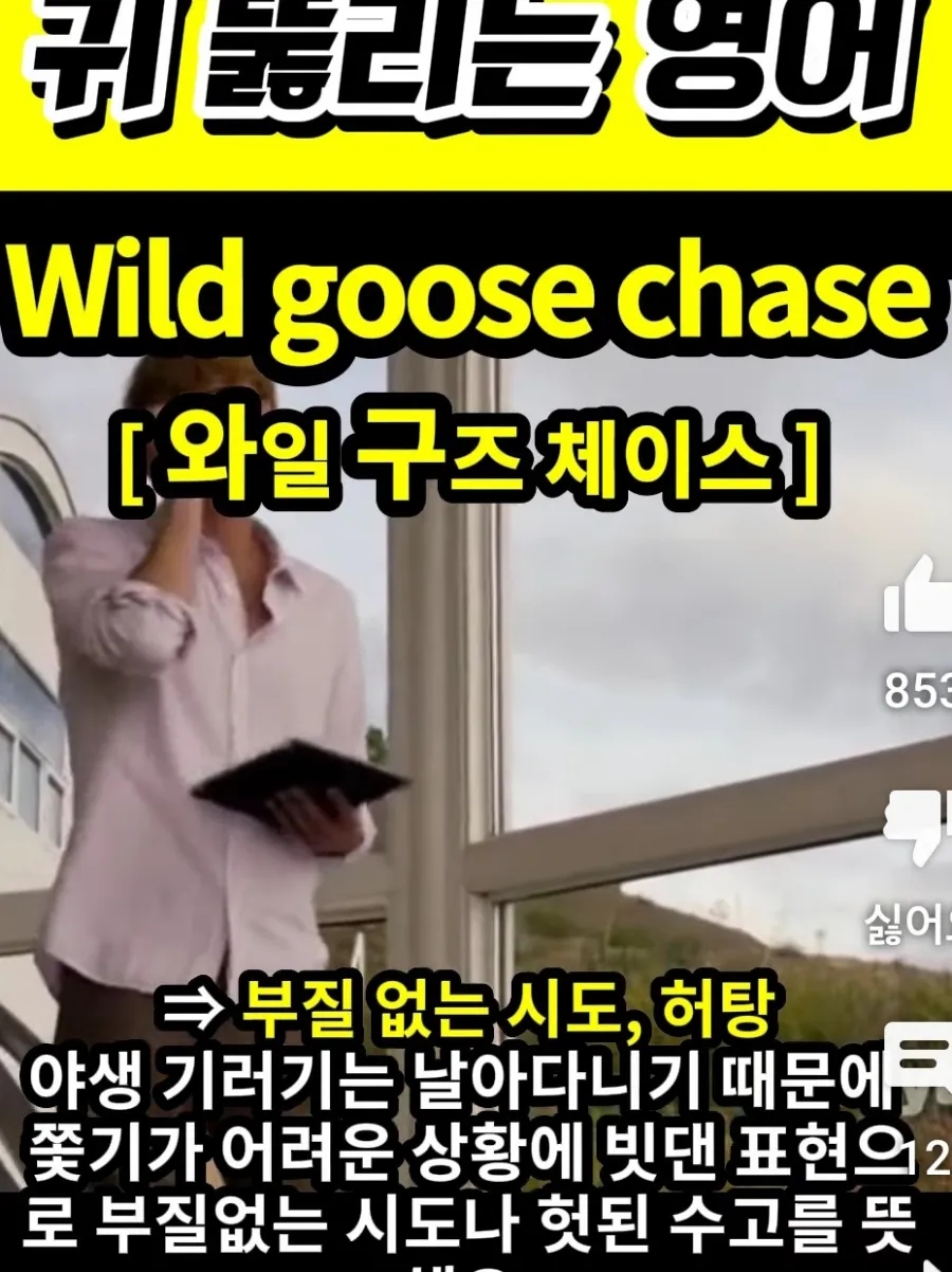 과천 할매와 귀 뚫리는 영어 부질없는 시도 [와일 구즈 체이스] Wild goose chase