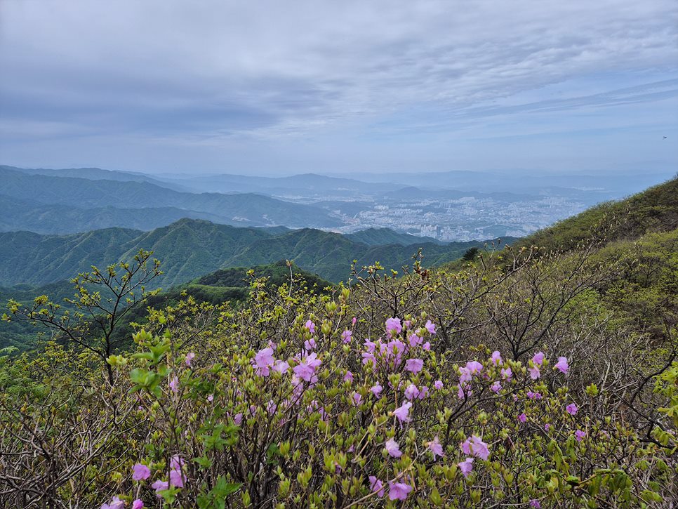 [치악산국립공원] 치악산 남대봉, 천년의 역사를 품고 있는 영원산성의 봄 풍경을 즐기다