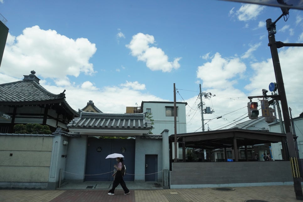 일본 교토 날씨 6월 실시간 혼자 여행 & 포켓 와이파이 도시락