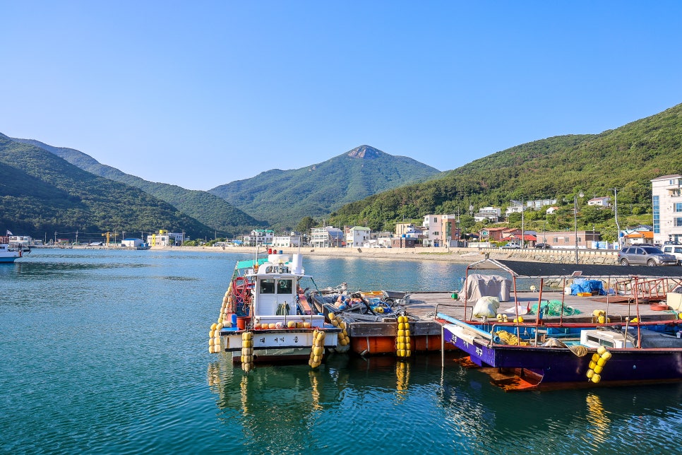 거제수국축제 거제 저구항 수국 동산 개화상황 &거제 명사해수욕장