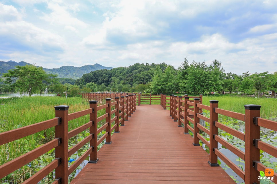 경남 거창 가볼만한곳 여행 거창 창포원 6월 꽃구경