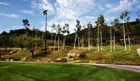 하이원cc 쾌적한 날씨 속 여름 라운딩 성지 정선 골프장