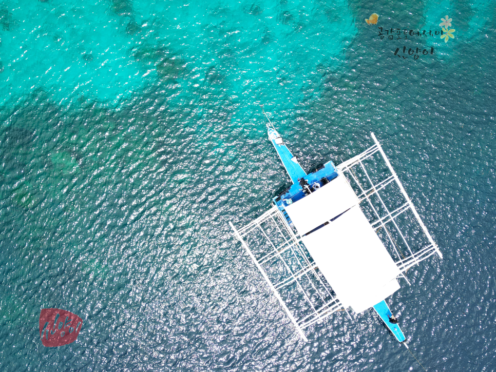 필리핀 보홀 스쿠버 다이빙 체험 보홀투어 펀다이빙