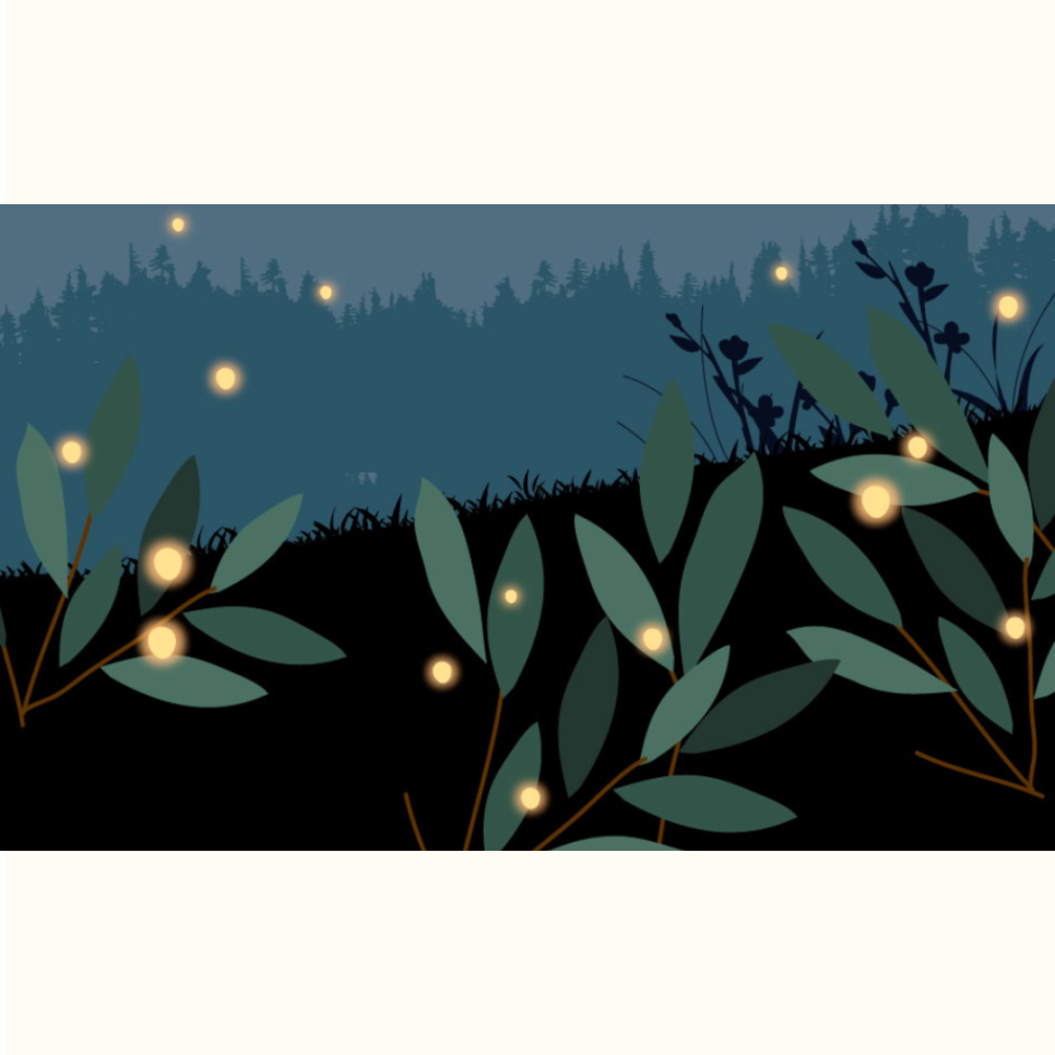 화담숲 반딧불이 예약 방법 축제 입장료