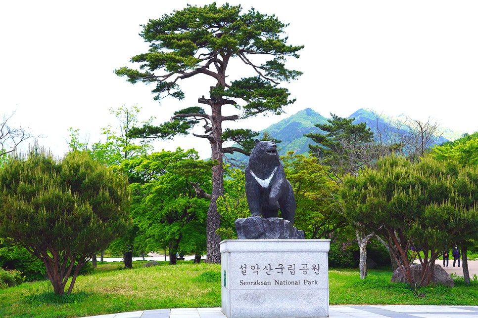 속초 가볼만한곳 6 설악산 케이블카 속초 해수욕장 막국수 갯배