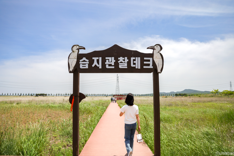 안산 가볼만한곳 대부도 바다향기 테마파크 공원 옥수수찐빵 후기