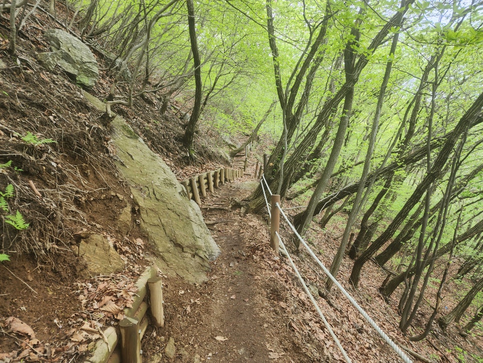 성남누비길 6-7구간 (하오고개-청계산-인능산-복정역,'24.04.21)