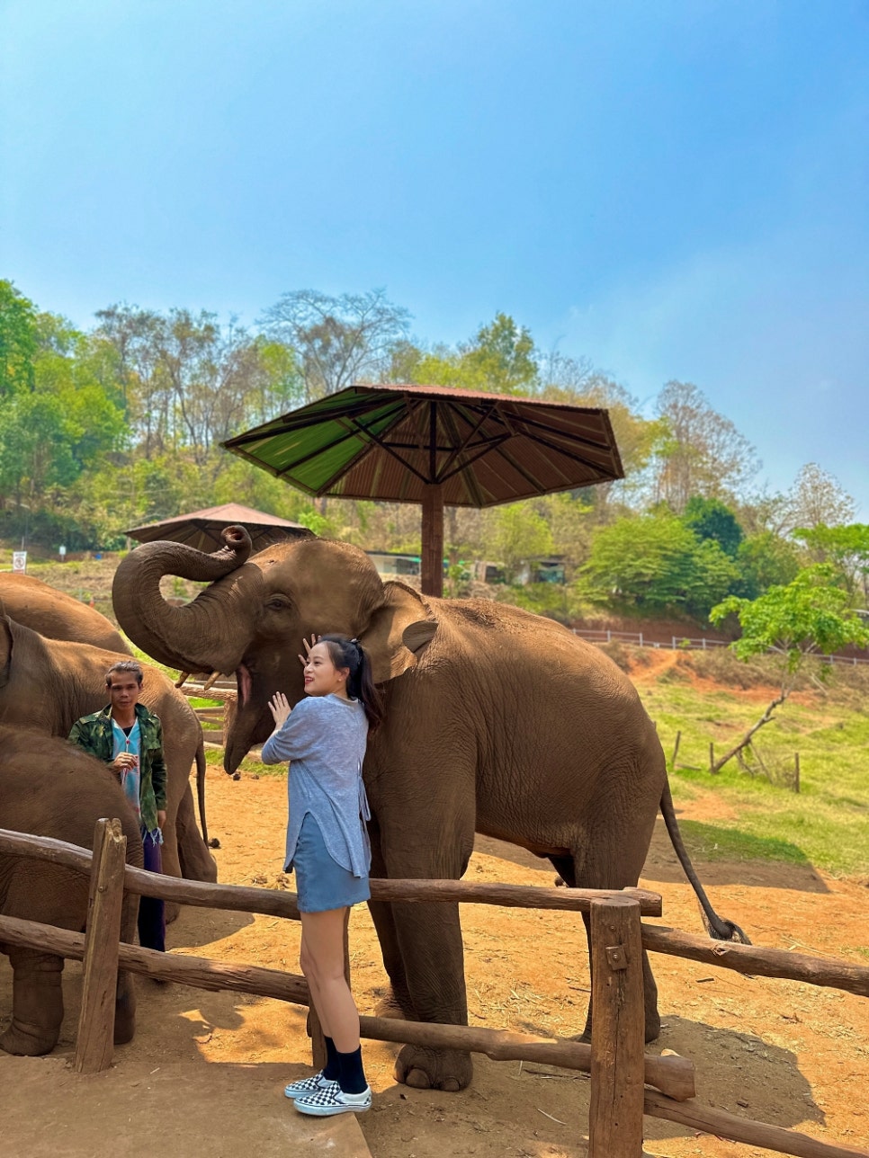 태국 치앙마이 여행 코스 추천 코끼리 카페 엘리핀팜 투어 가격 비교