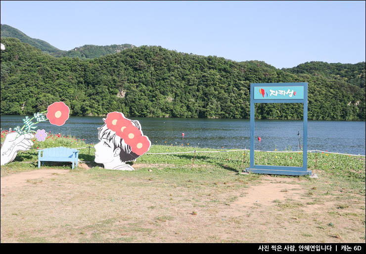 경기도 여행 가평 자라섬 남도 꽃정원 자라섬 꽃 페스타 꽃축제