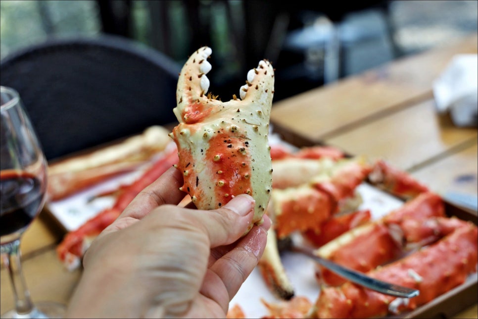 노량진수산시장 킹크랩 대게 맛있던 88수산!