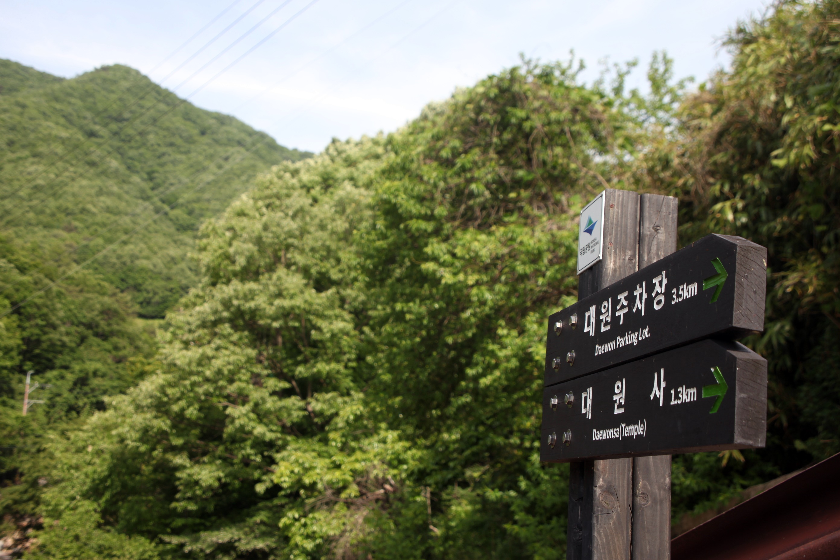 [지리산국립공원] 대원사 계곡길을 시원하게 걸어보세요.