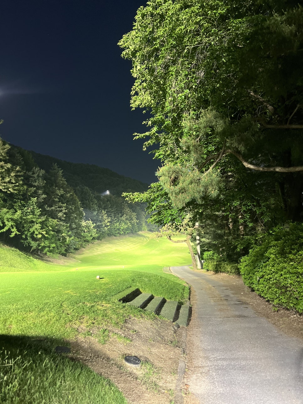 골드cc 야간 접근성좋은 경기도 골프장 라운딩 후기
