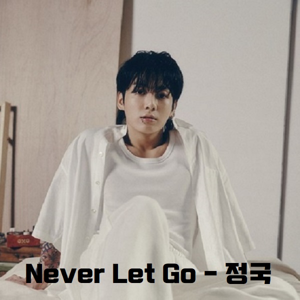 BTS 정국 Never Let Go 뜻 신곡 가사 노래 해석 번역 뮤비 MV 곡정보 네버렛고 방탄소년단 2024 FESTA