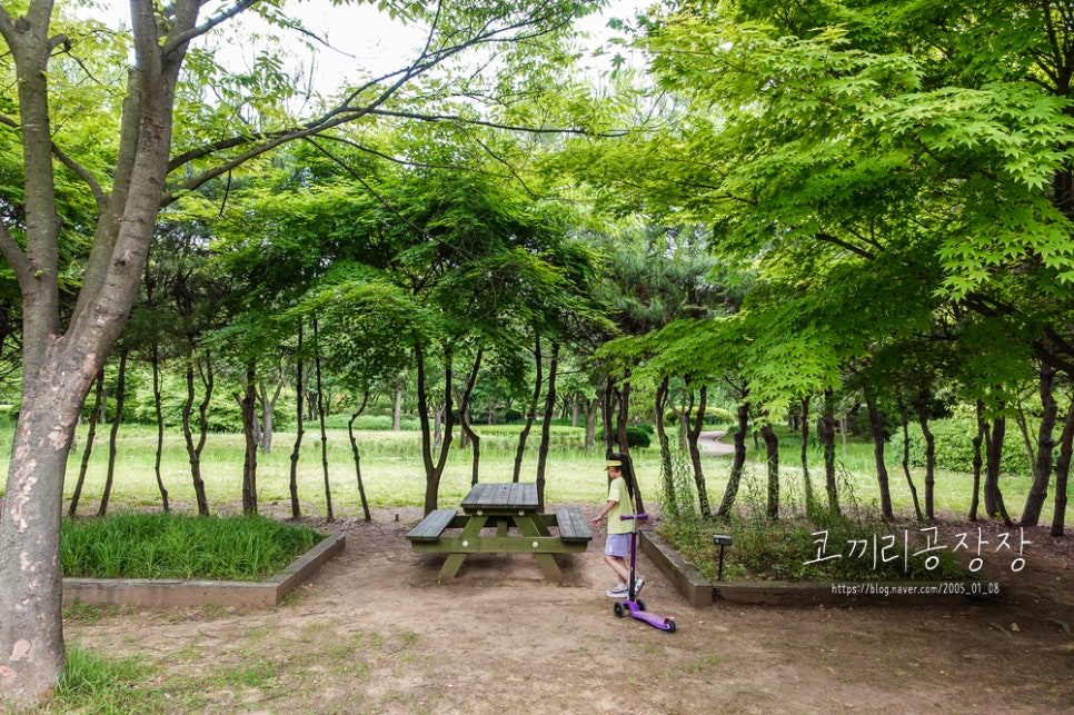 인천 서구 드림파크 야생화단지의 아름다운 산책길 아이랑 숲체험 하기 좋은 곳