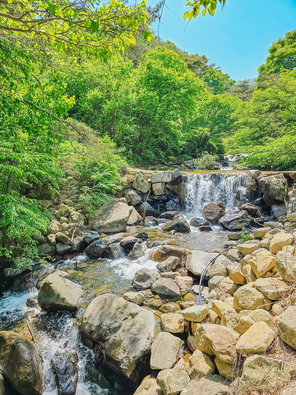 경남 산청 계곡펜션 조용한 국내 여름휴가지 숲캉스 추천