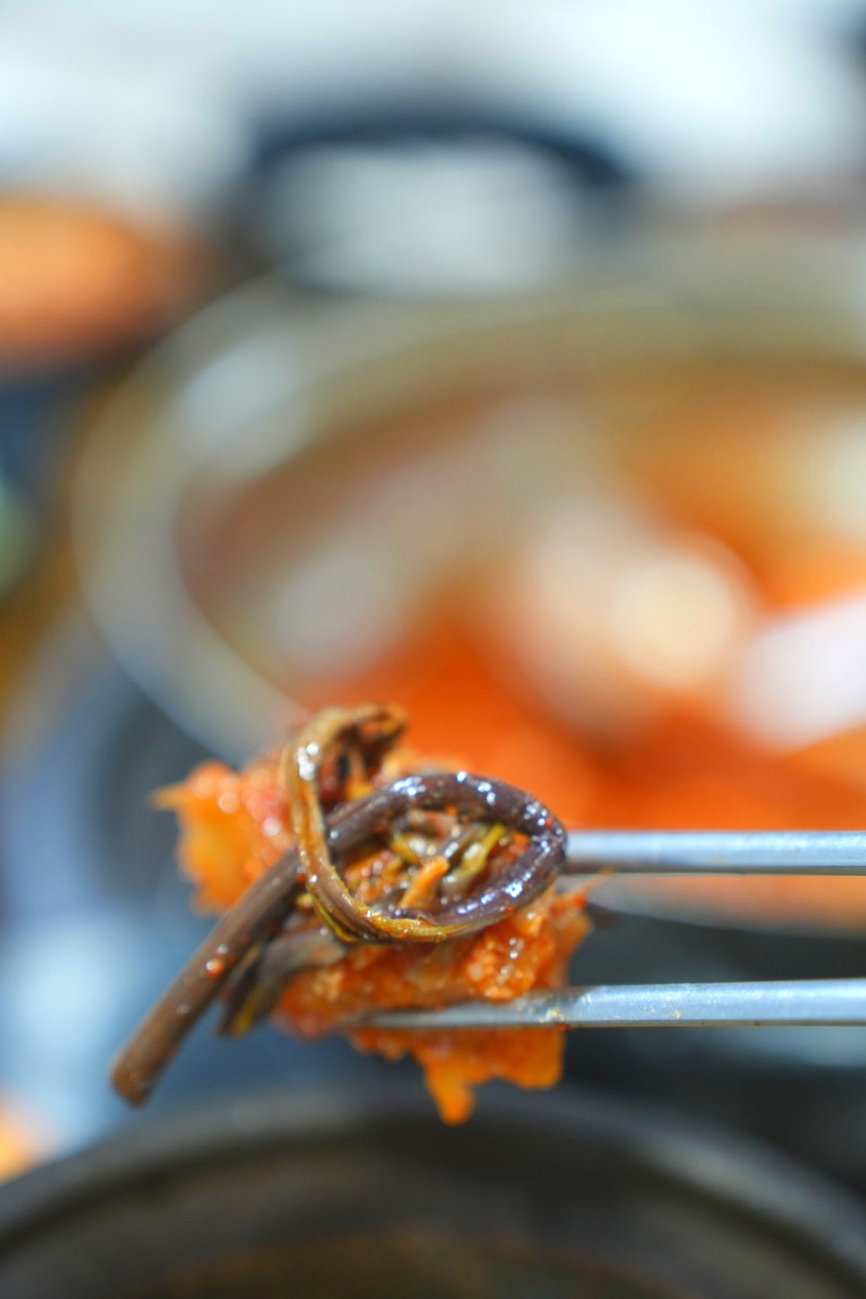 제주 서귀포 갈치조림 맛집 매일 올레시장 근처 하르방 식당